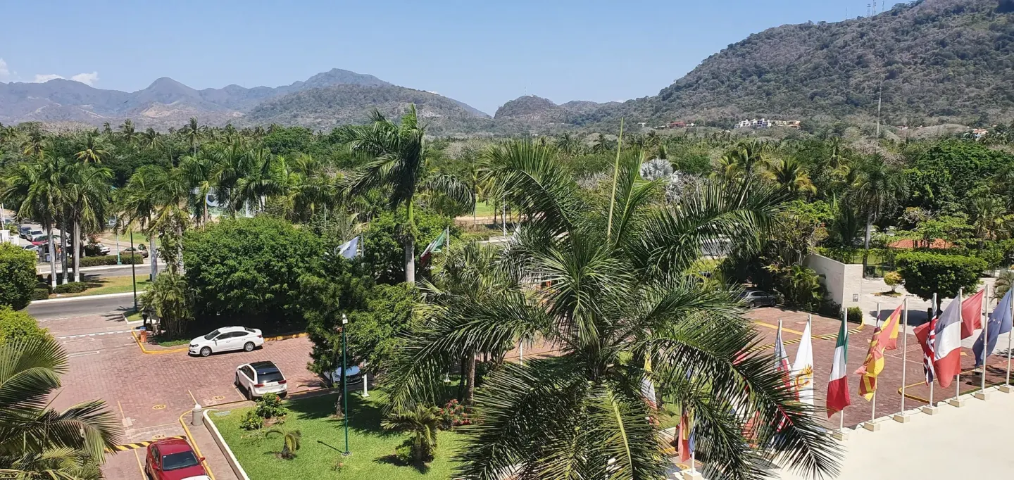 Palm trees, flags, and mountains seen from a Superior Room at Barceló Ixtapa.