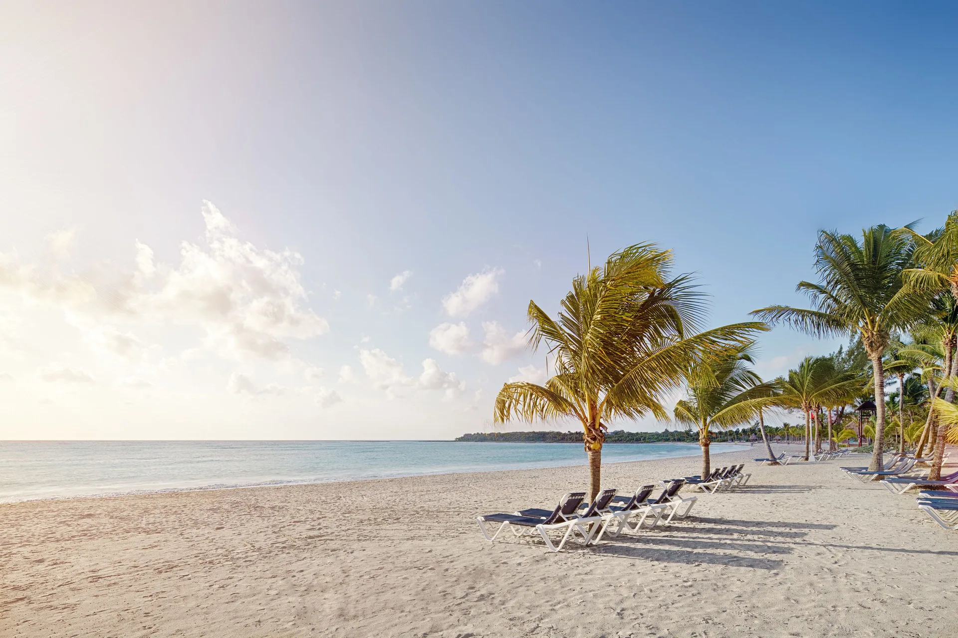 Palm trees and lounge chairs line the quiet beach at Barceló Maya Caribe.
