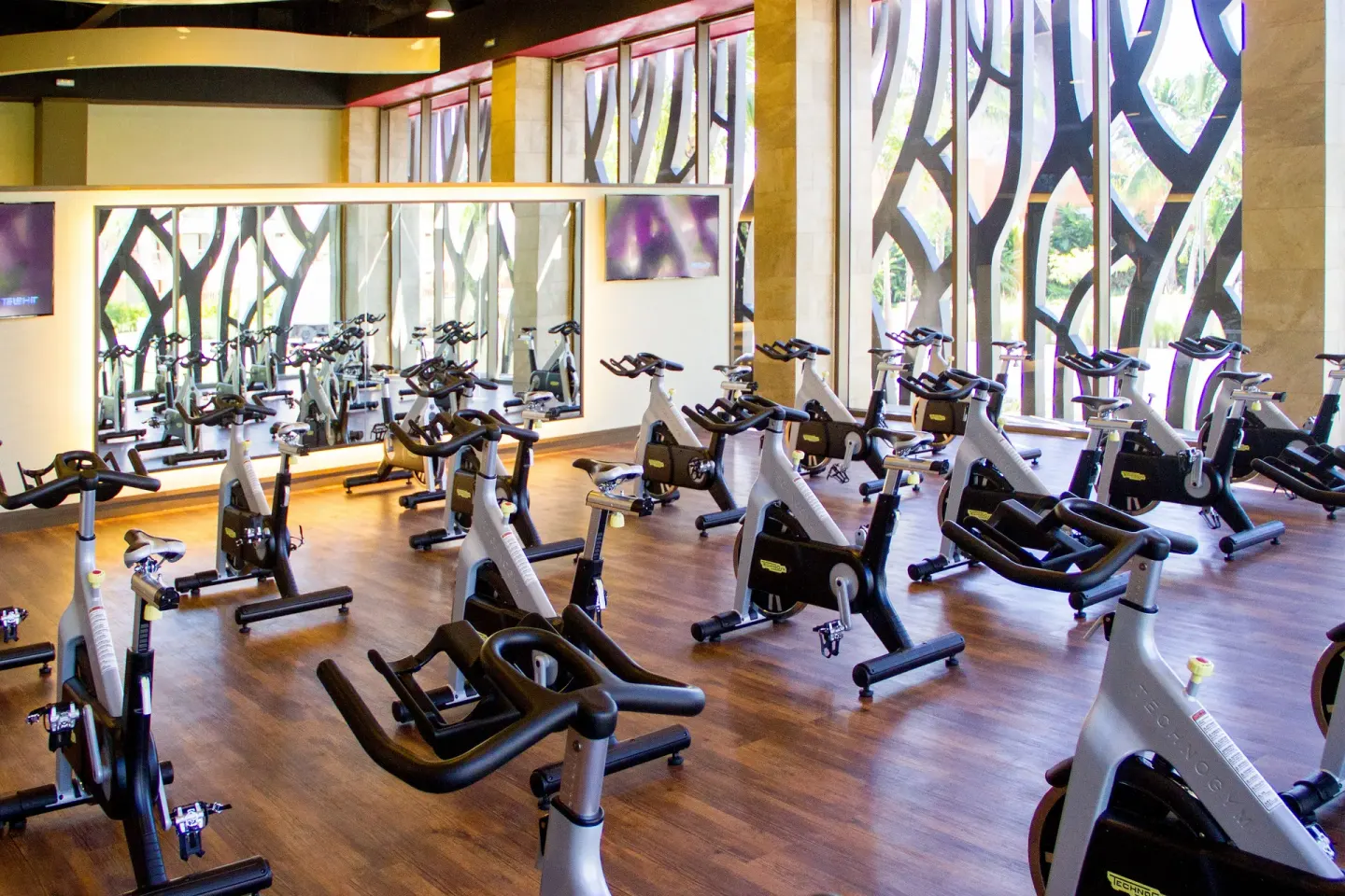 Rows of stationary bikes fill a fitness studio at Barceló Maya Tropical.