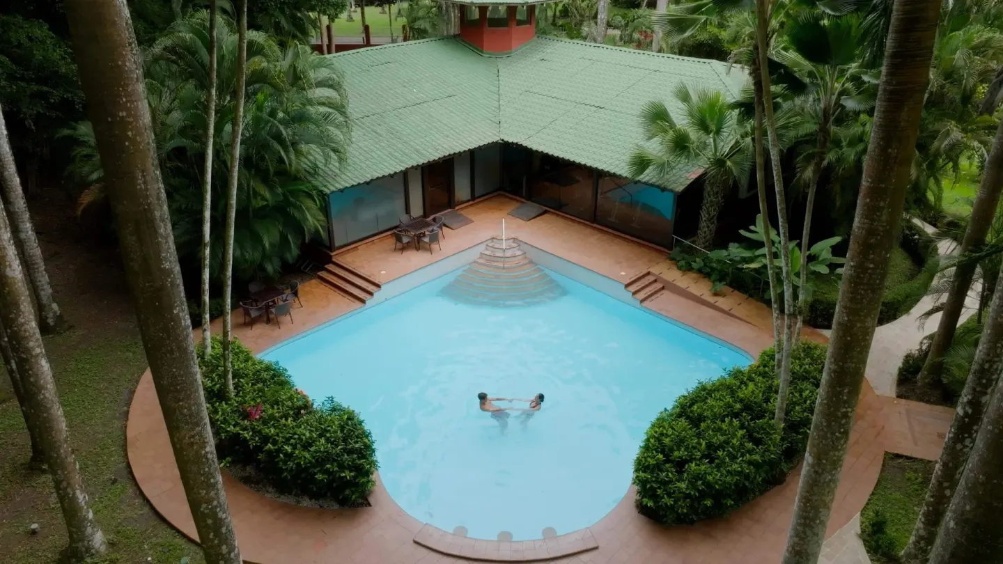 Aerial view of a small pool surrounded by palms at Barceló Tambor.