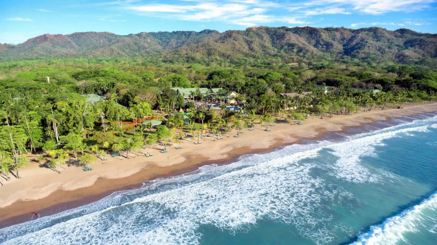 Aerial view of the beach, surf, palms, and mountains at Barceló Tambor.
