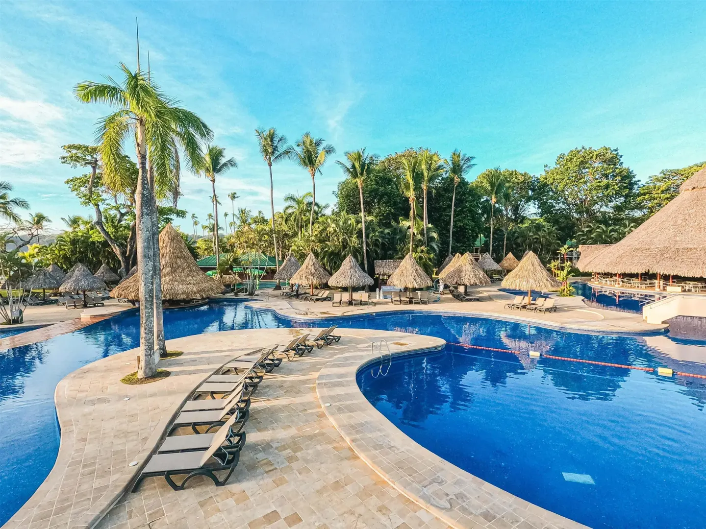 Curving resort pools with loungers, palms and thatched umbrellas at Barceló Tambor.