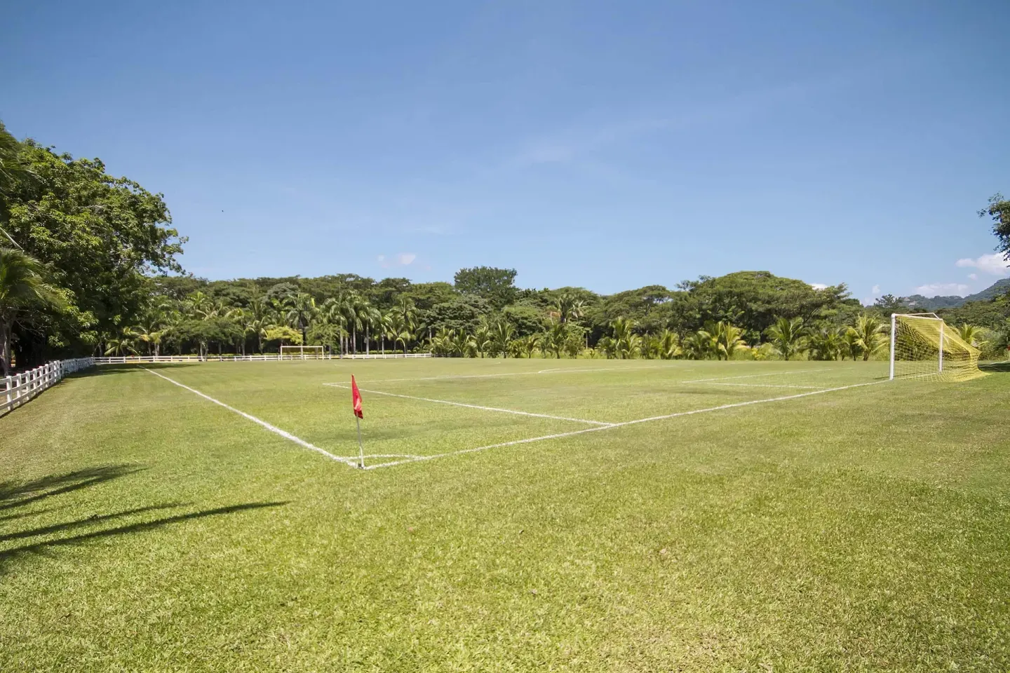 Grass soccer field with a corner flag and goal at Barceló Tambor.