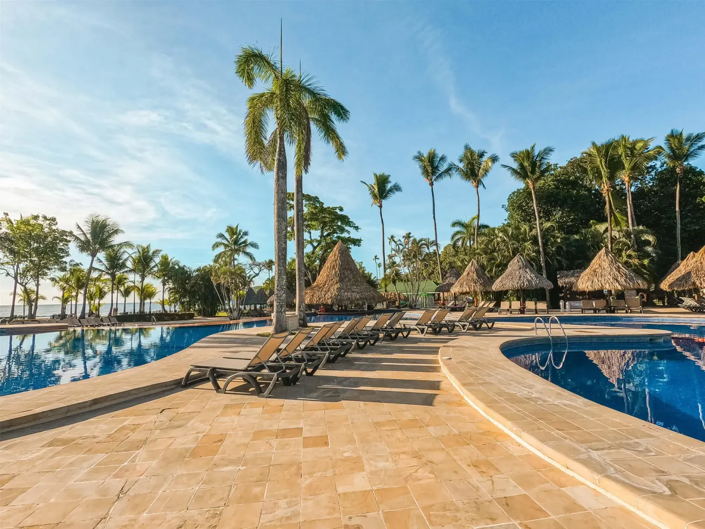 Poolside lounge chairs, palm trees, and thatched palapas at Barceló Tambor.