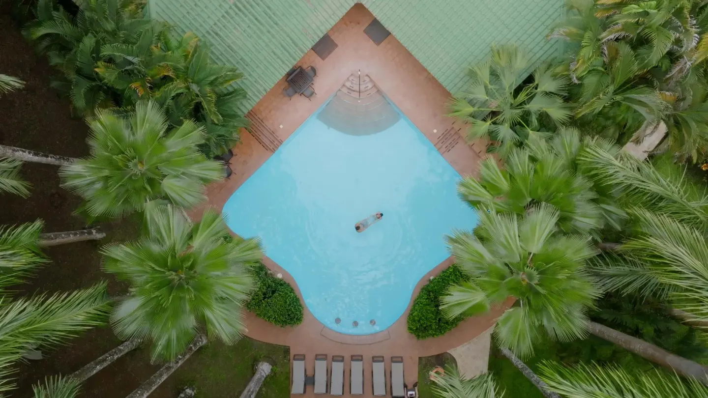 Top-down view of a pool framed by palms at Barceló Tambor.