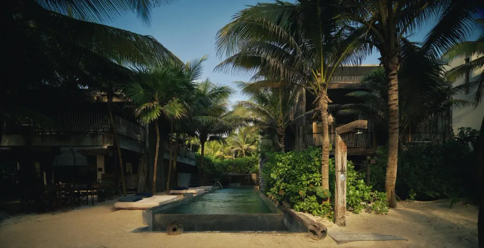 Long narrow beachfront pool framed by palms and resort buildings at BE Destination Tulum
