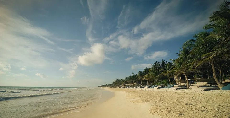 Long empty shoreline with palms and loungers under a blue sky at BE Destination Tulum