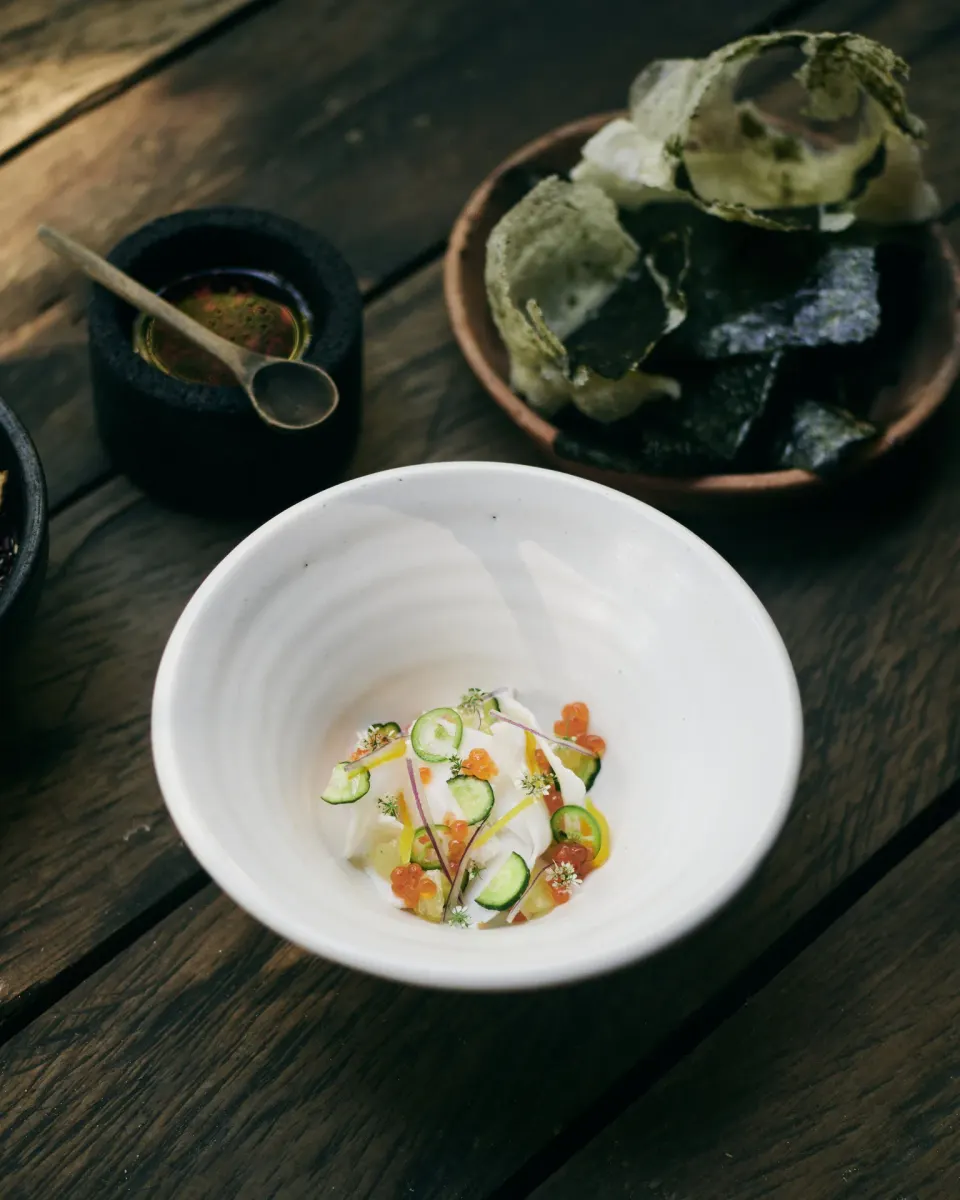 Plated seafood appetizer in a white bowl at BE Destination Tulum