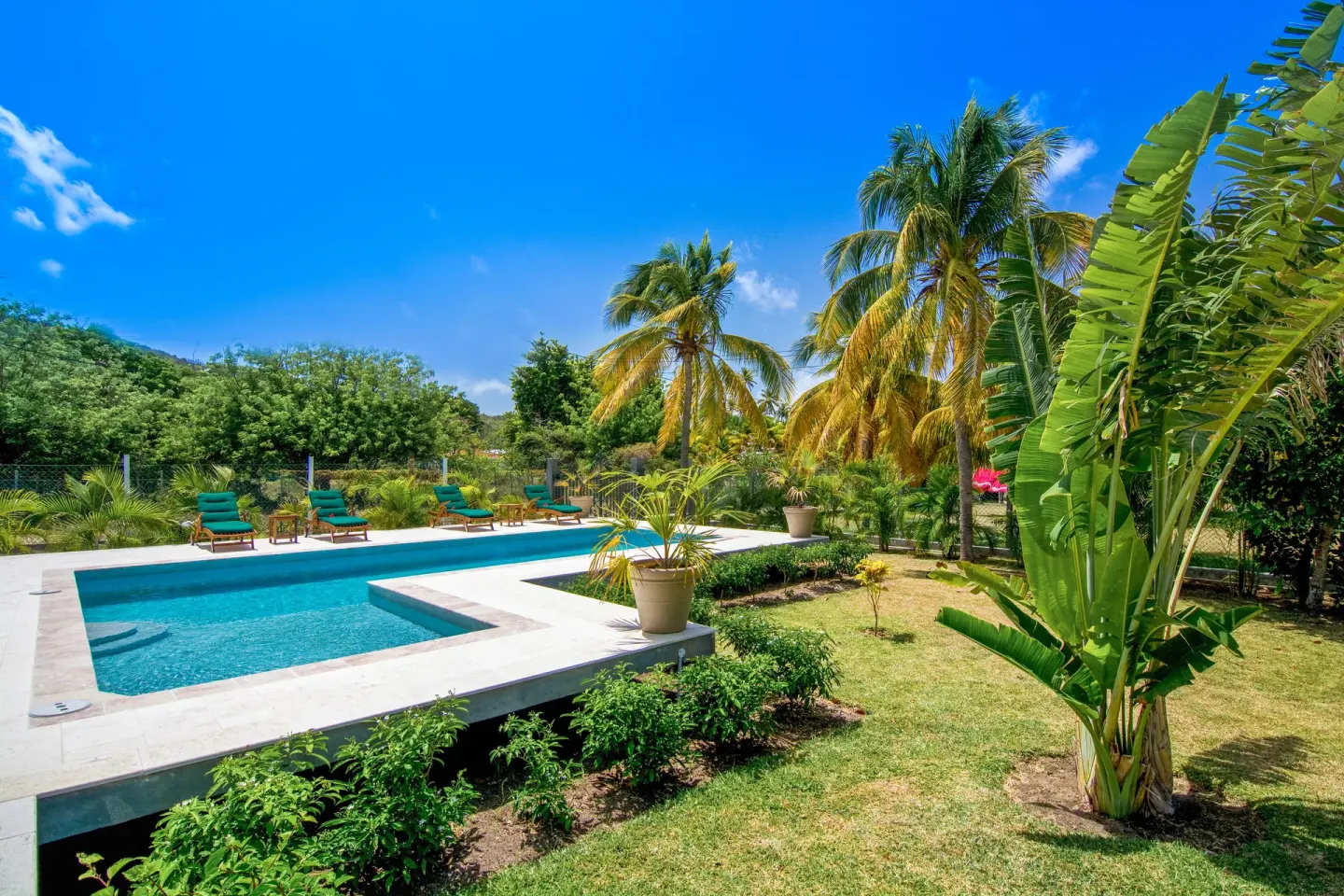 Garden pool with loungers, palms, and tropical planting at Bequia Beach Hotel.