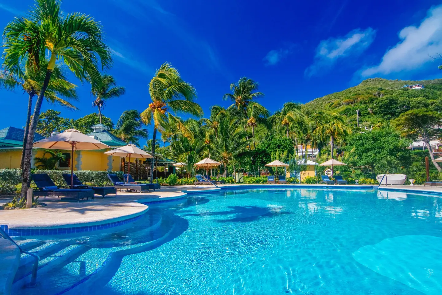 Resort pool with palm trees, umbrellas and hillside backdrop at Bequia Beach Hotel.