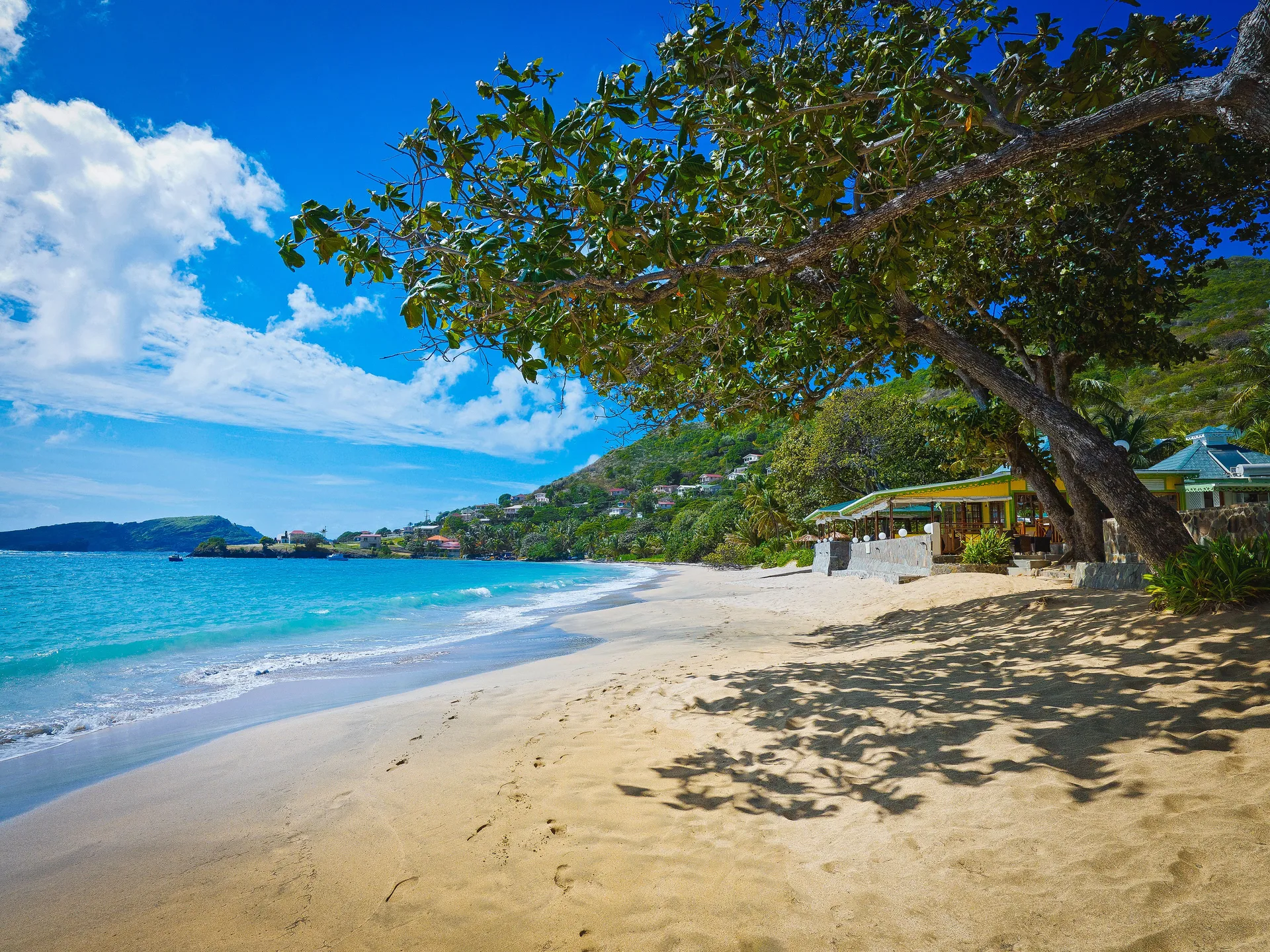 Tree-shaded beach with a small beachfront structure at Bequia Beach Hotel.