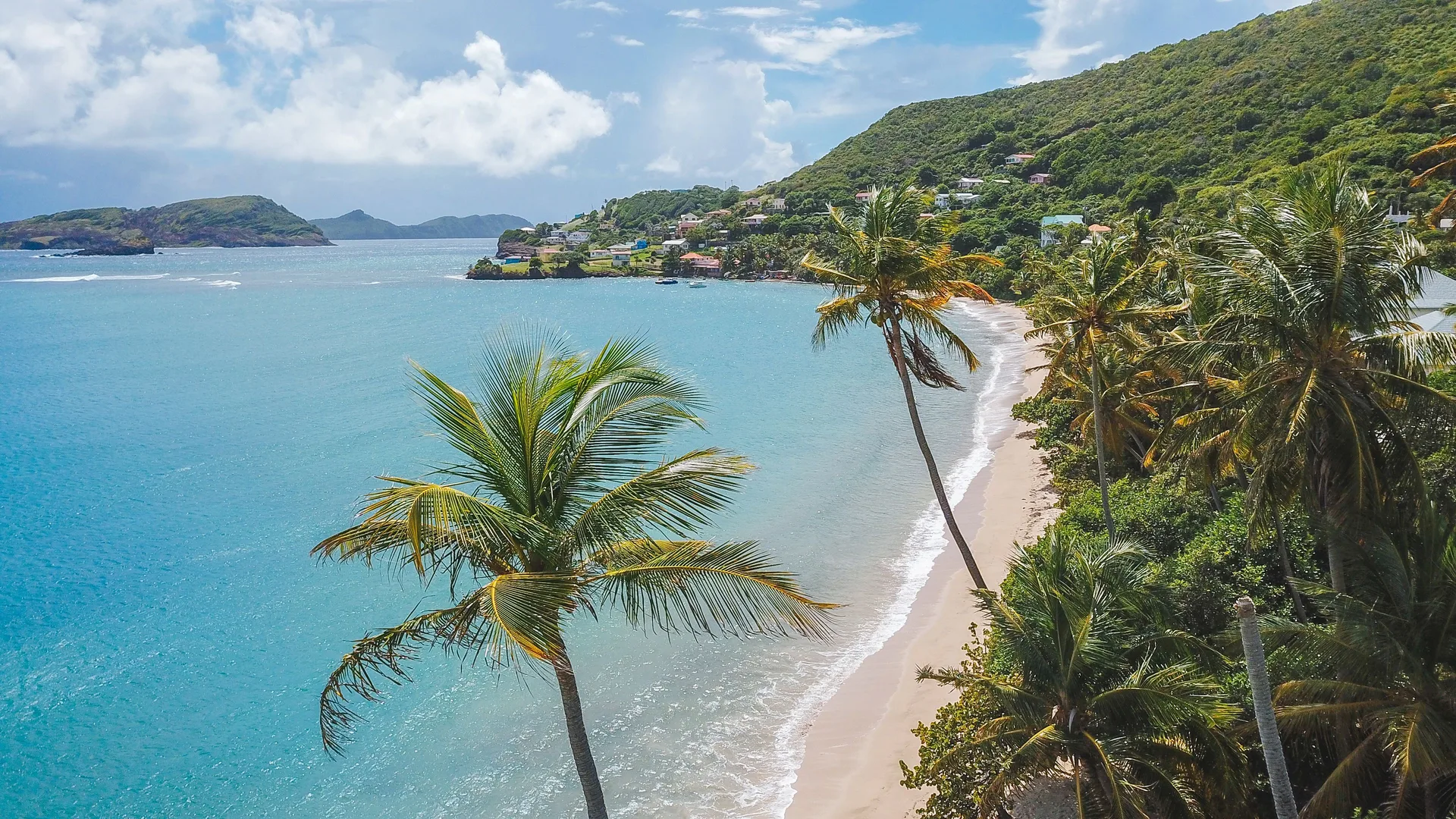 Beachfront view with palms, turquoise bay, and sandy shoreline at Bequia Beach Hotel.