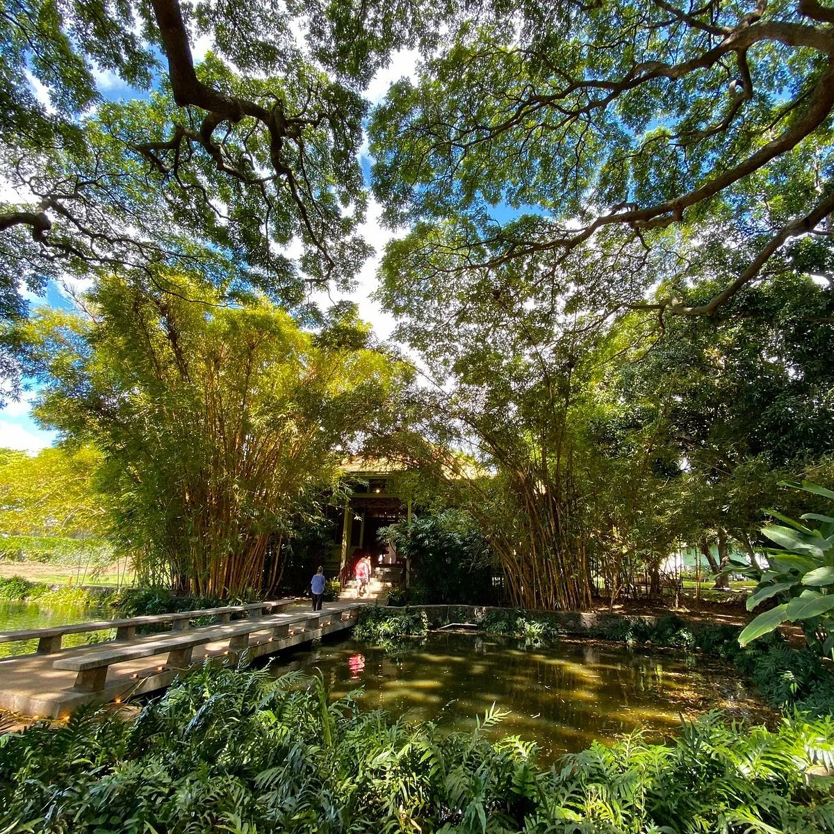 Moanalua Gardens 5 Min Drive