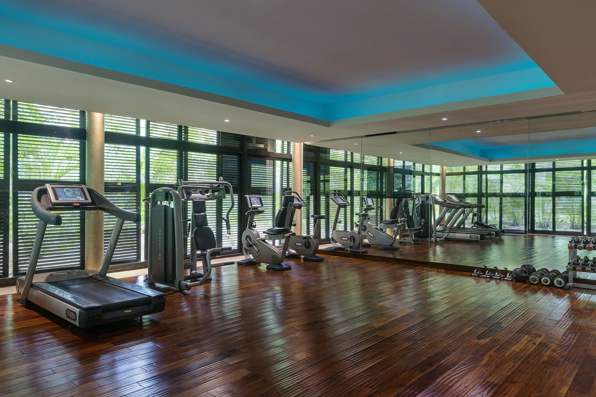 Fitness center with cardio machines and dumbbells at Blue Diamond Luxury Boutique.
