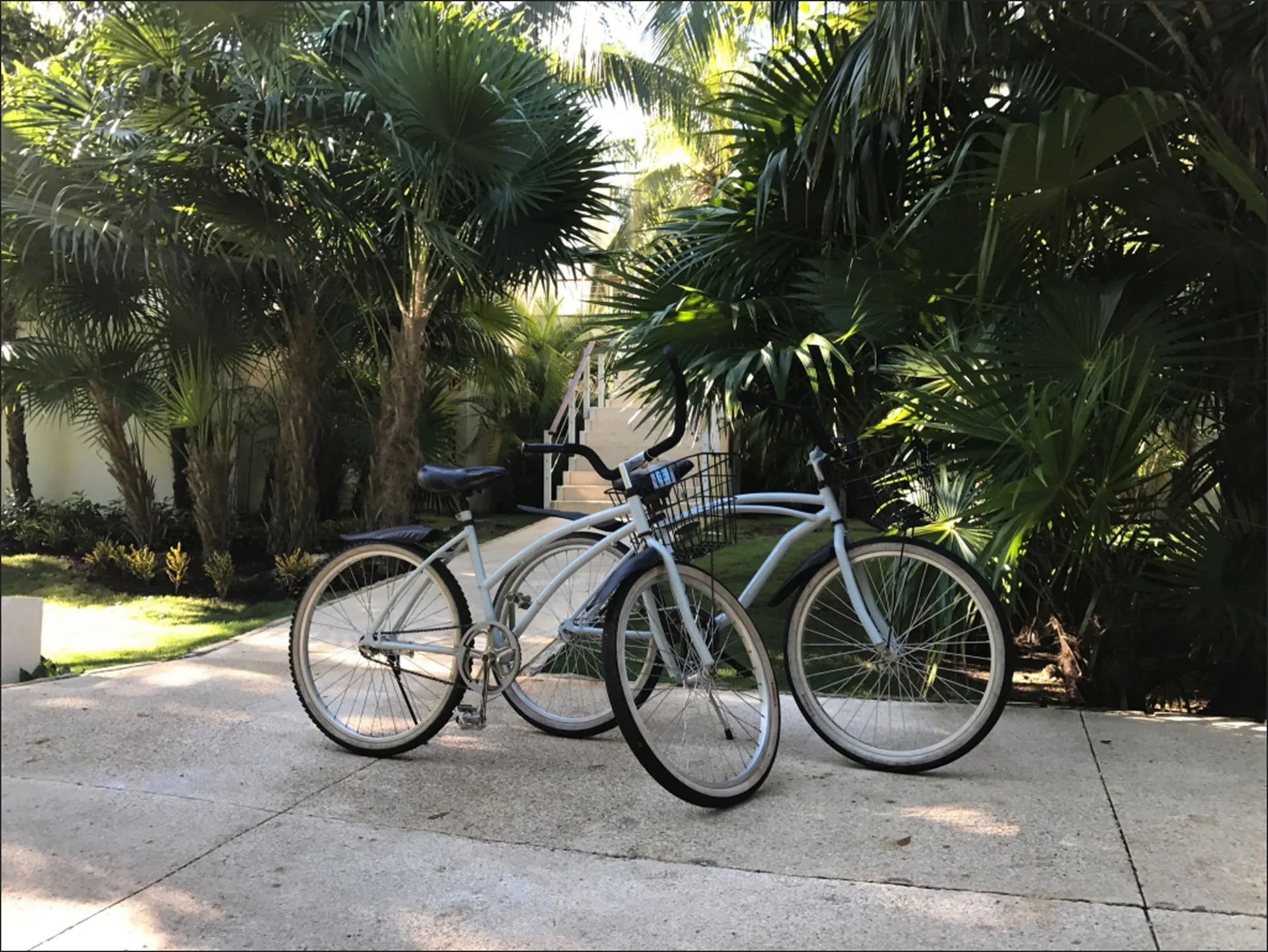 Two bicycles are parked on a path amid palms at Blue Diamond Luxury Boutique.