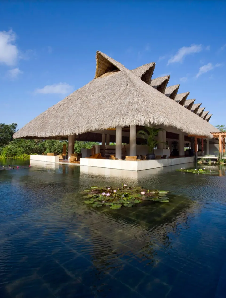 Thatched-roof pavilion over water with lily pads at Blue Diamond Luxury Boutique.