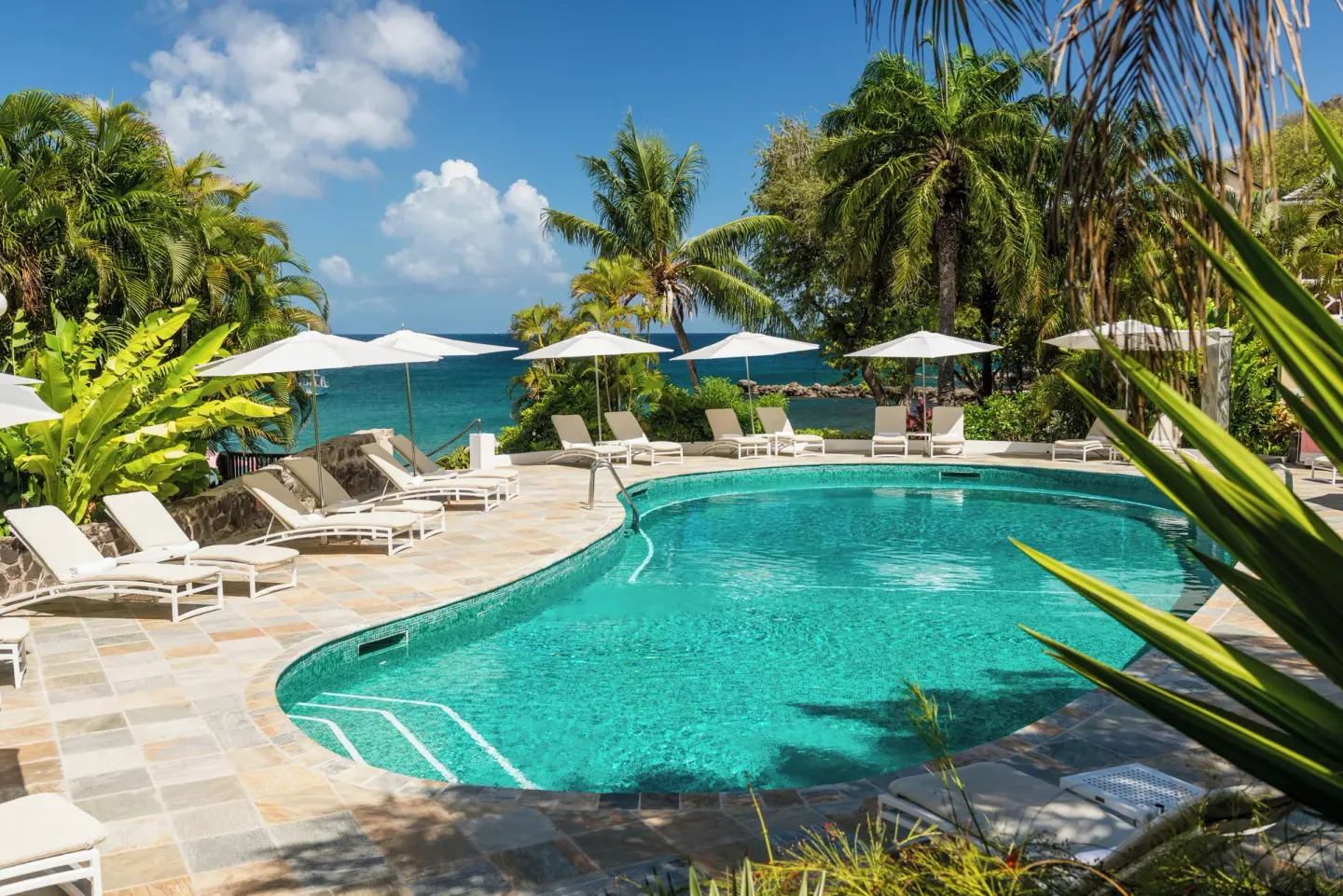 Curved pool with loungers, umbrellas, palms, and sea views at BodyHoliday.