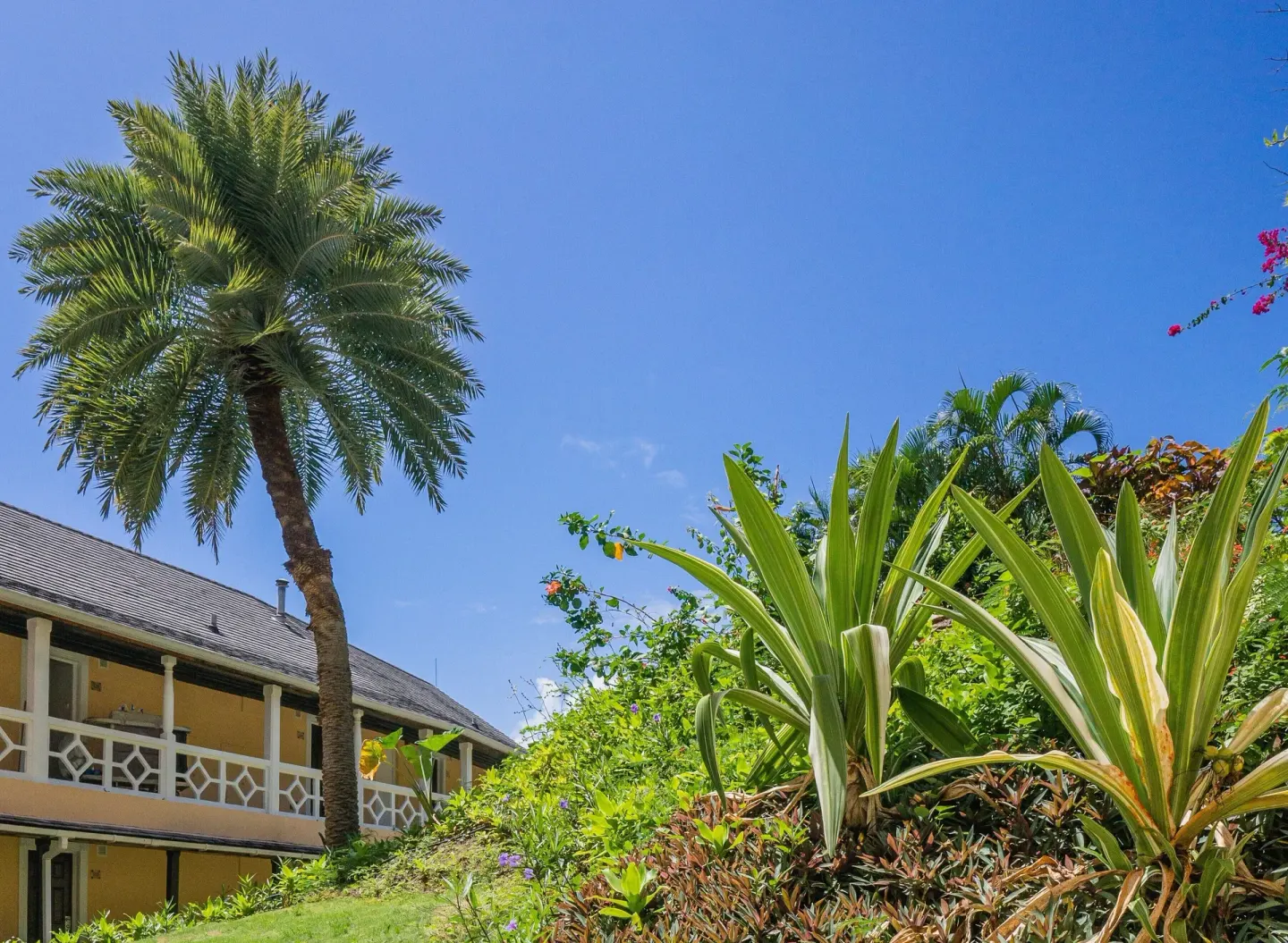 BodyHoliday garden path area with palms, tropical plants, and a low resort building.