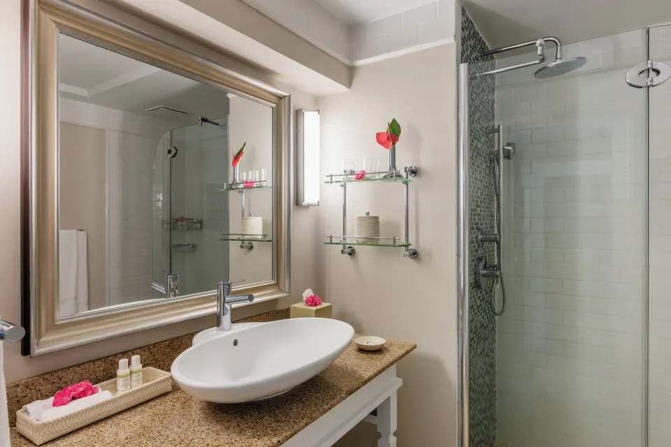 Bathroom in a Garden View room at BodyHoliday with vessel sink, mirror, and glass shower.