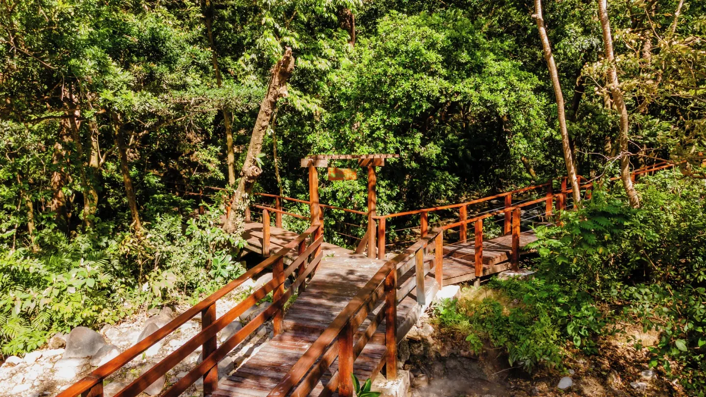 Wooden footbridge through dense forest at Borinquen Thermal Resort.