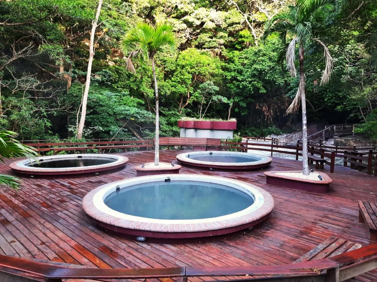Circular thermal pools on a wooden deck in the forest at Borinquen Thermal Resort.