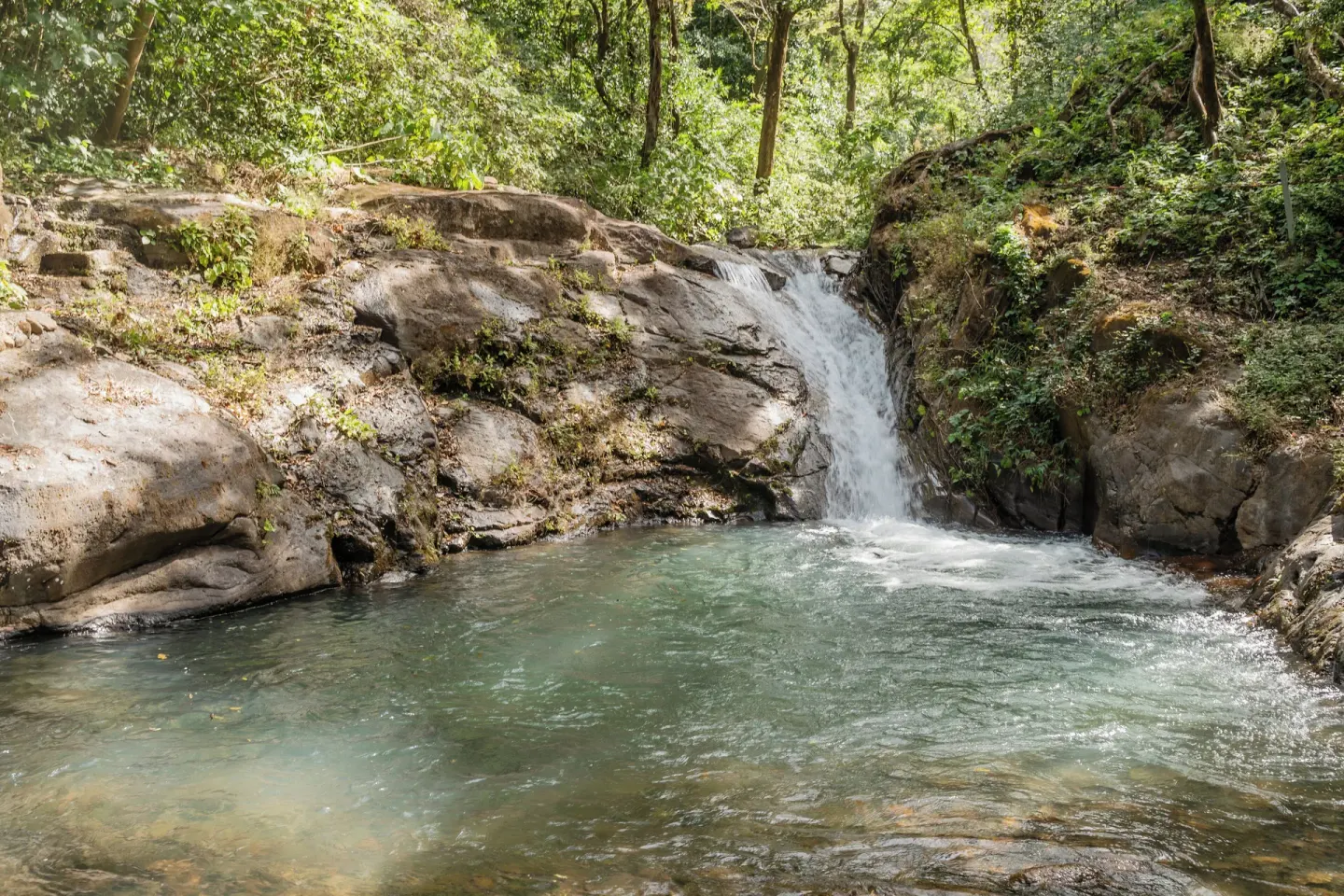 Forest waterfall and clear pool at Borinquen Thermal Resort.