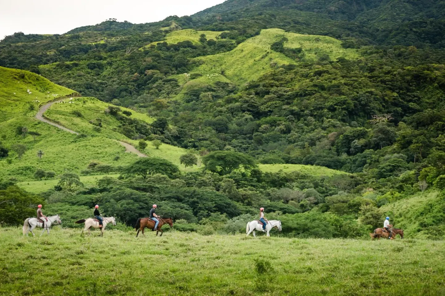 Horseback riders crossing green hills near Borinquen Thermal Resort.