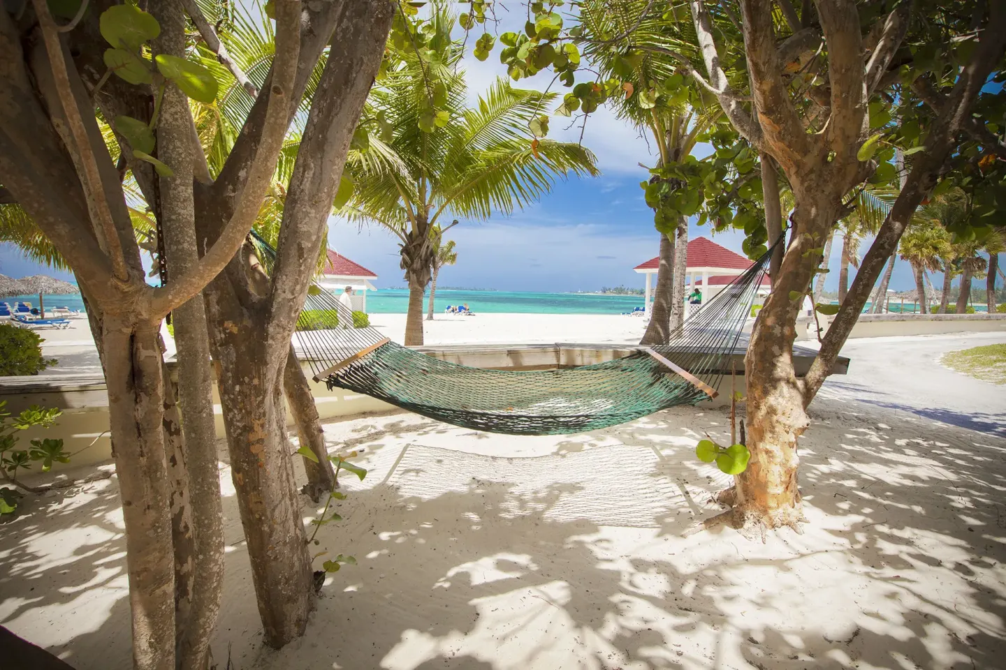 Empty hammock strung between shady beach trees at Breezes Resort Bahamas.