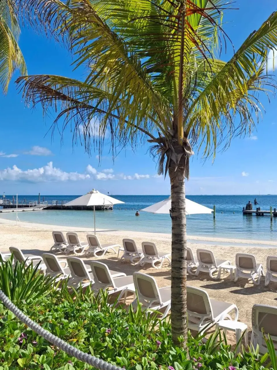 Palm tree over beach loungers, umbrellas, and calm sea at Cancun Bay Hotel.