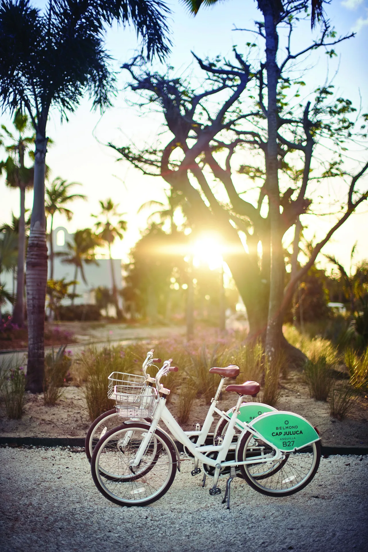 White resort bicycles parked on a gravel path at sunset at Cap Juluca, Anguilla.