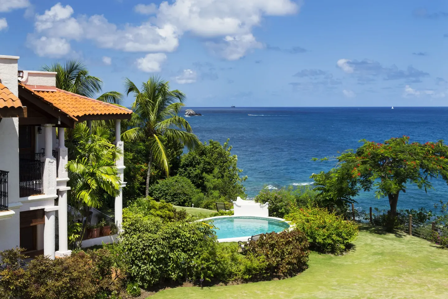Ocean-facing lawn, pool, palms, and white building at Cap Maison Resort & Spa.