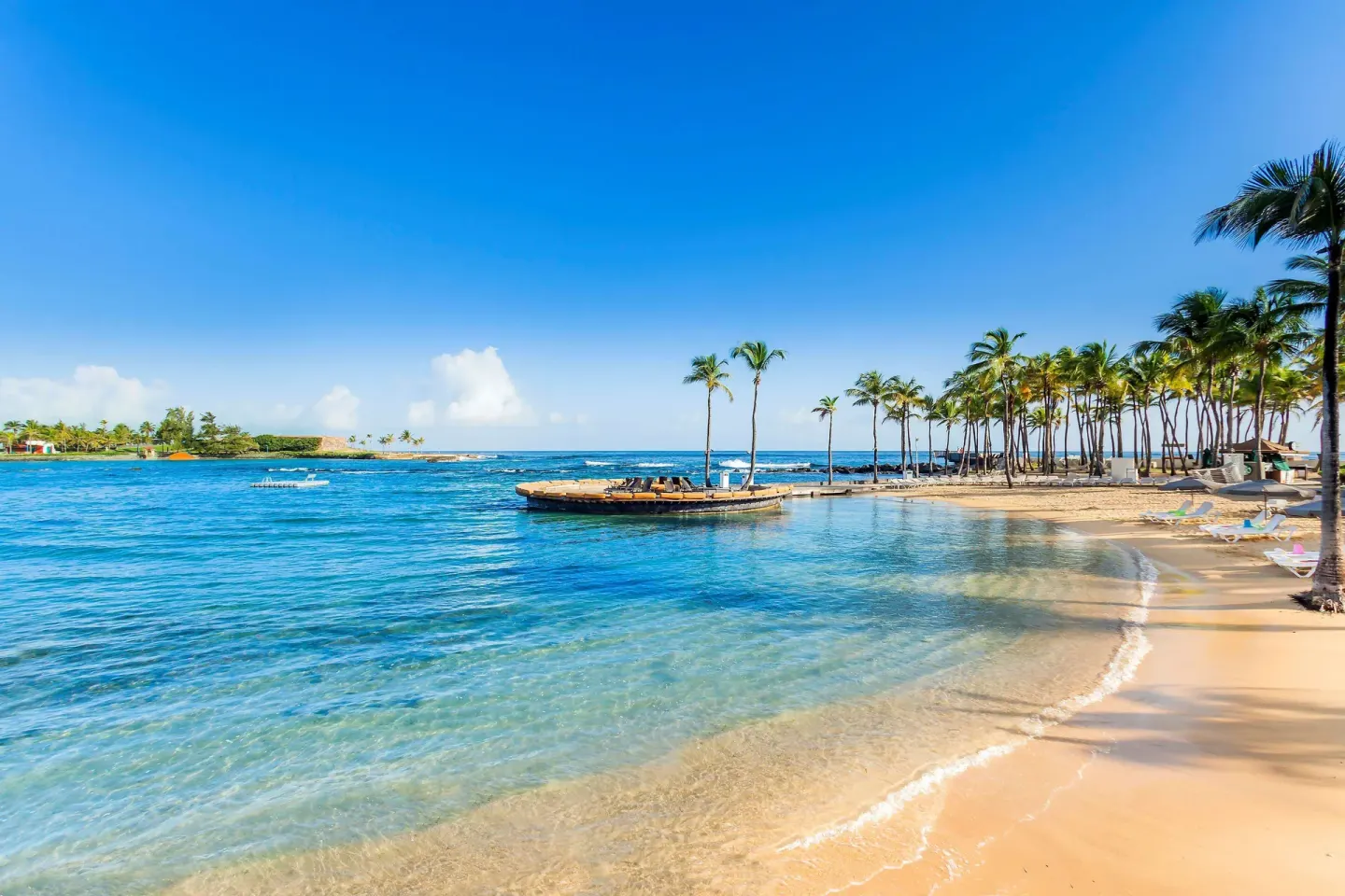 Calm beach lagoon with palm trees and clear water at Caribe Hilton.