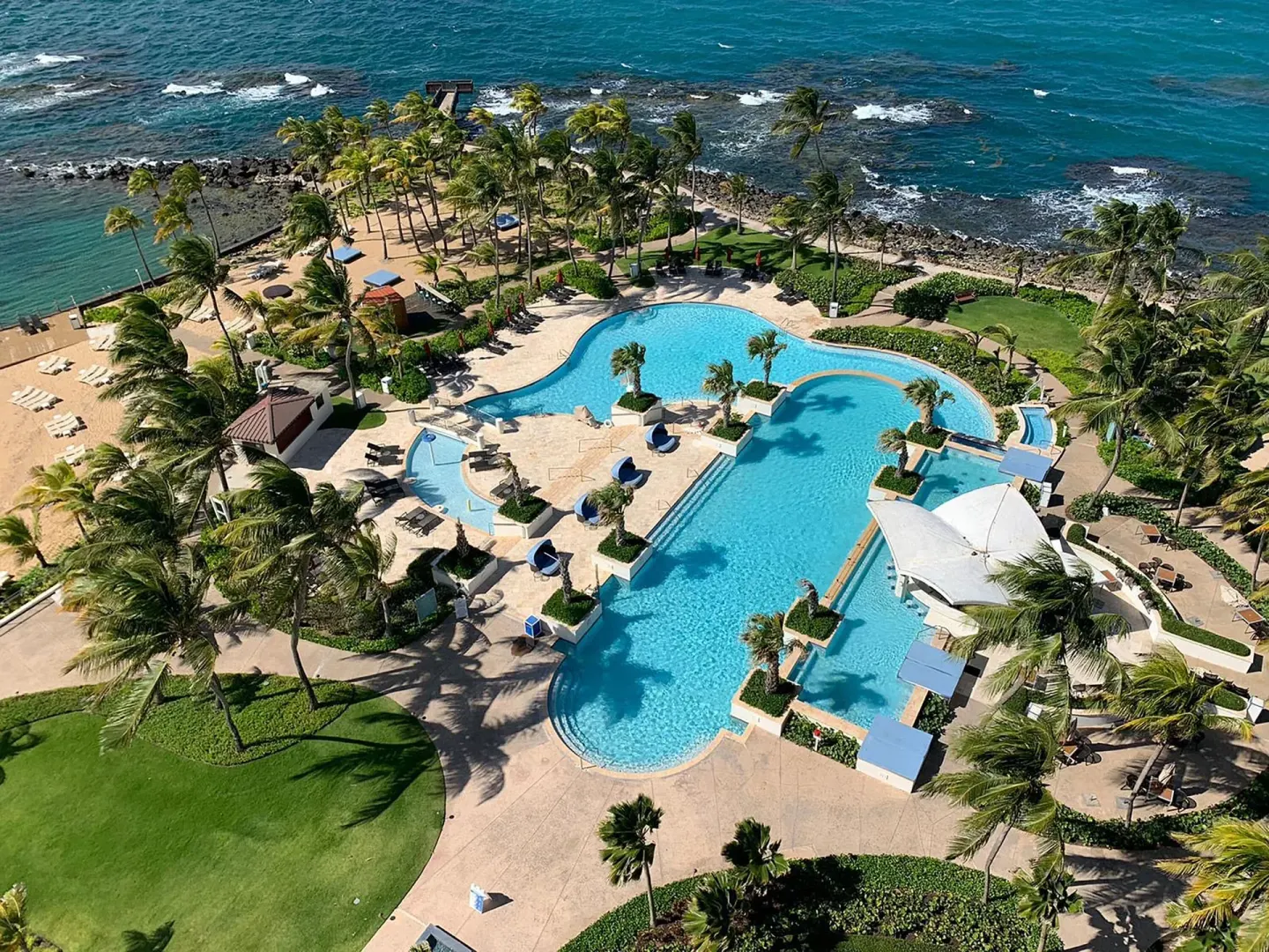 Aerial view of the beachfront pools and palm-lined grounds at Caribe Hilton.