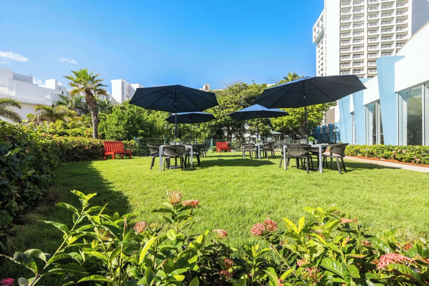 Garden seating with black umbrellas on the lawn at Caribe Hilton.