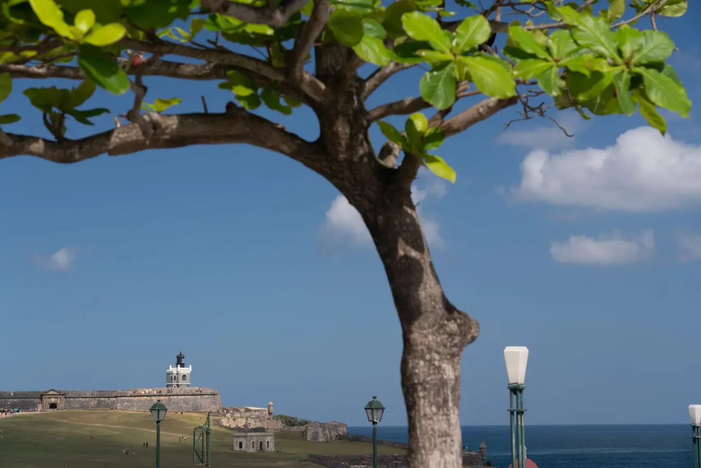 Oceanfront view of a historic fort framed by a tree near Caribe Hilton.
