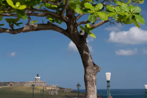Oceanfront view of a historic fort framed by a tree near Caribe Hilton.
