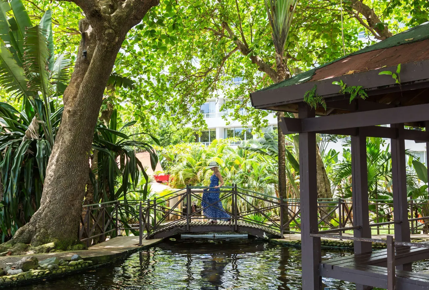 Tropical garden bridge over water on the grounds of Caribe Hilton.
