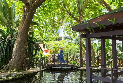 Tropical garden bridge over water on the grounds of Caribe Hilton.