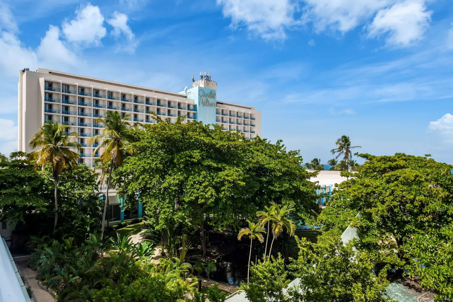 Garden view from a Caribe Hilton guest room with hotel tower and palms.