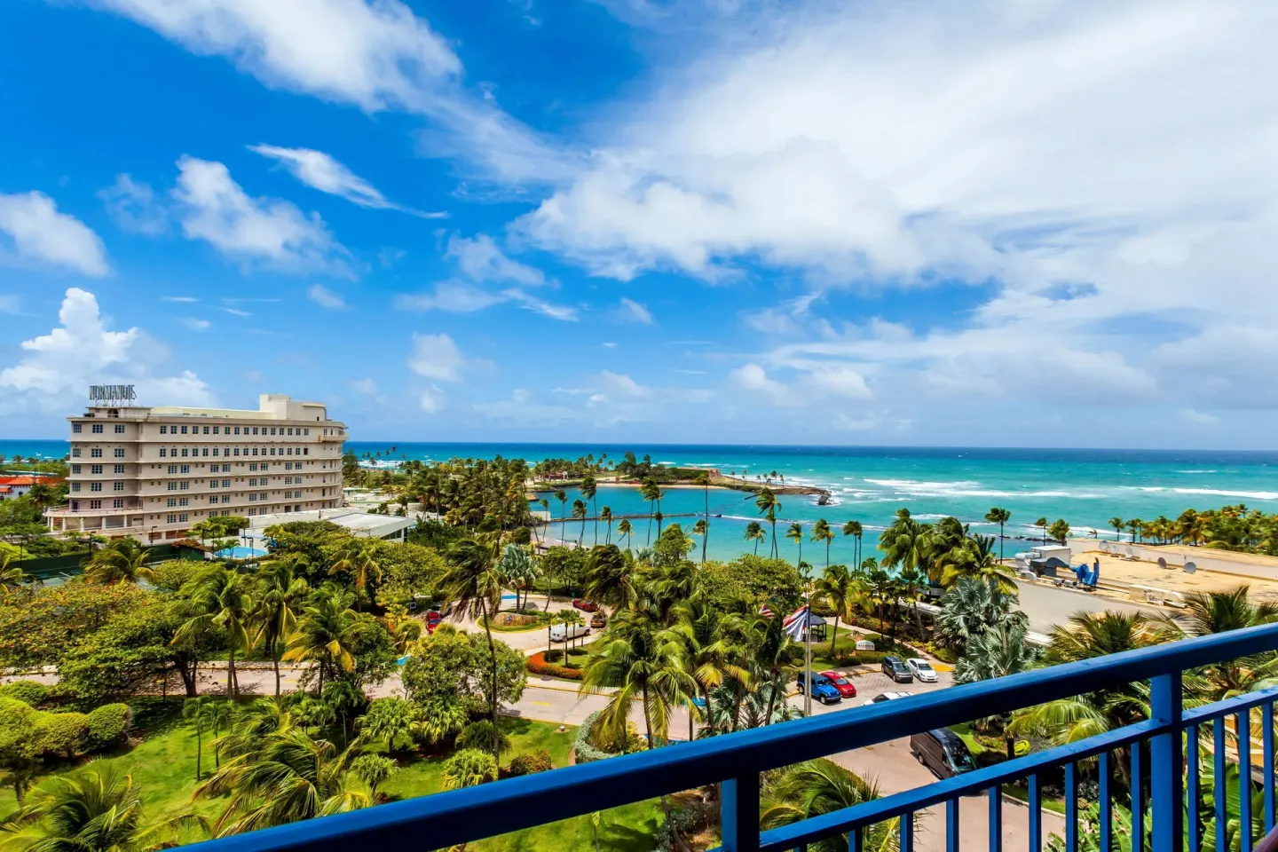 Balcony view of ocean, palms, and hotel grounds from Caribe Hilton.