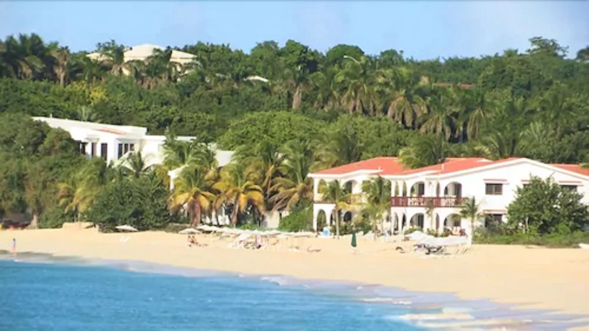 Beachfront white buildings and palms line the sand at Carimar Beach Club.
