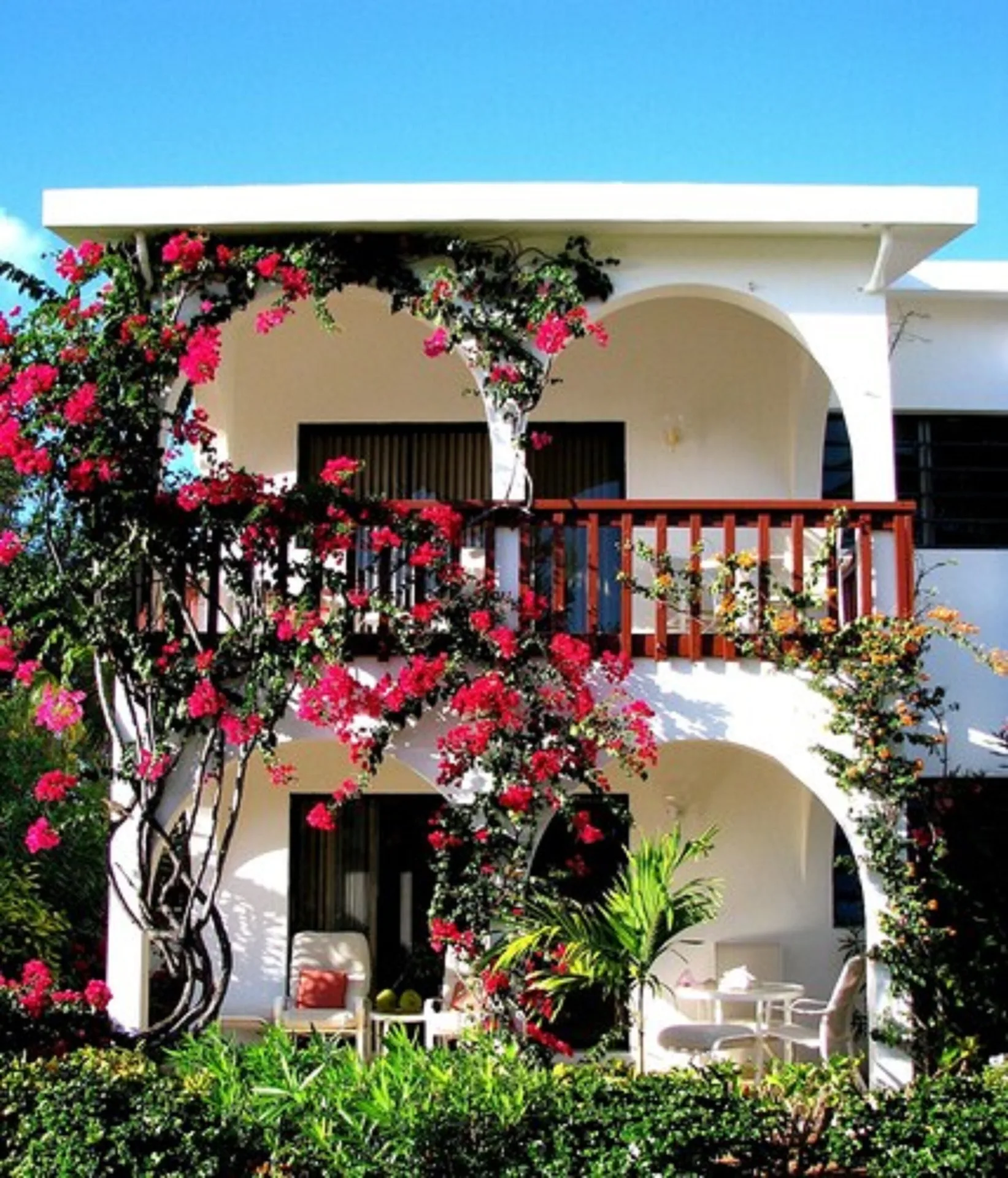 Bougainvillea climbs around balconies and patios at Carimar Beach Club.