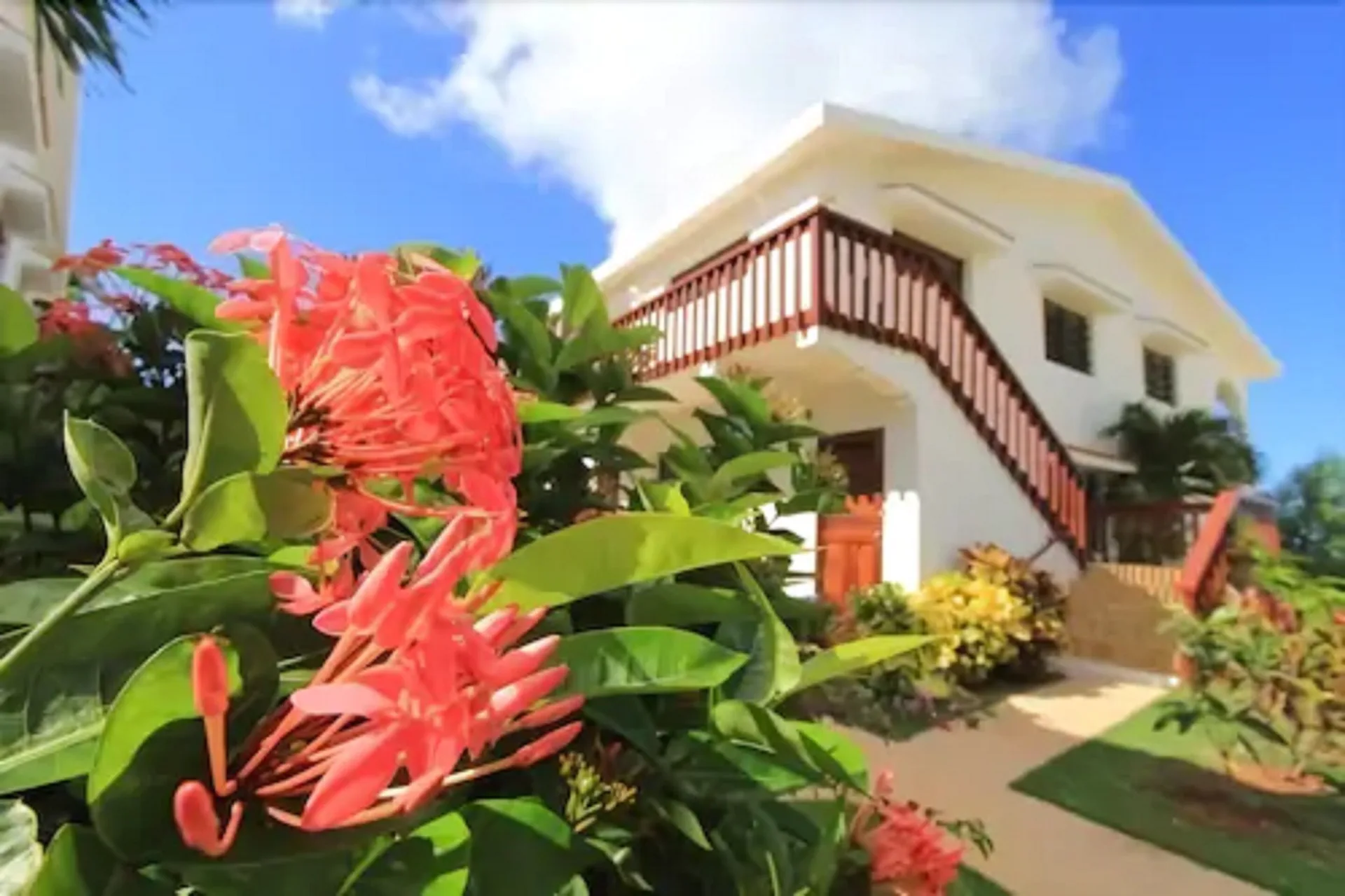Red tropical flowers frame a white exterior staircase at Carimar Beach Club.