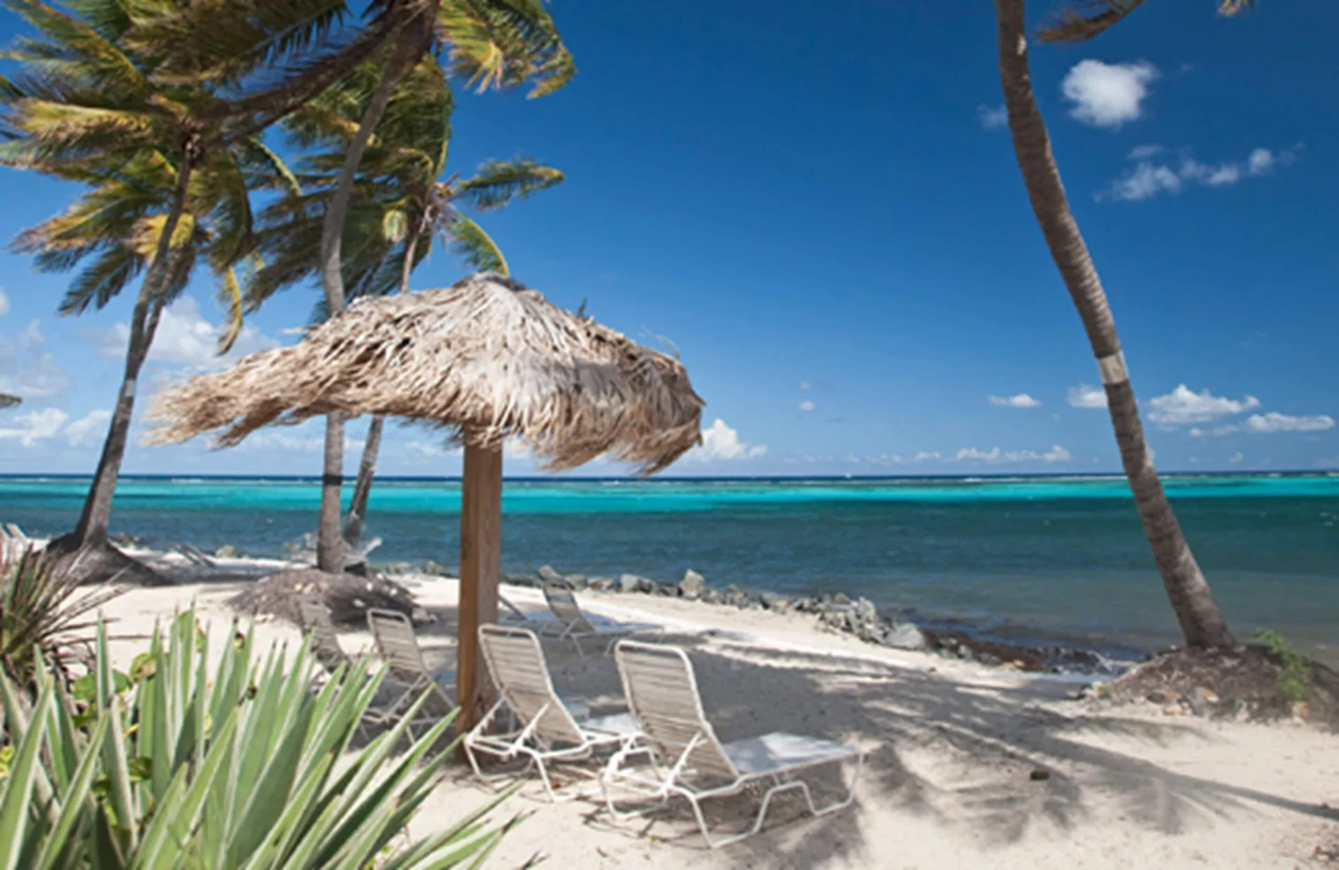 Colony Cove Beach Resort by Antilles Resorts St. Croix condominium resort with beach access and suites