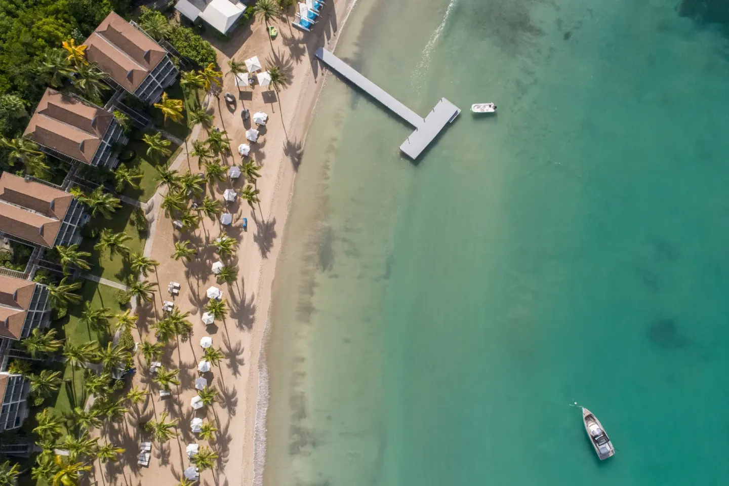 Aerial view of the beach, jetty, palms, and turquoise water at Carlisle Bay.