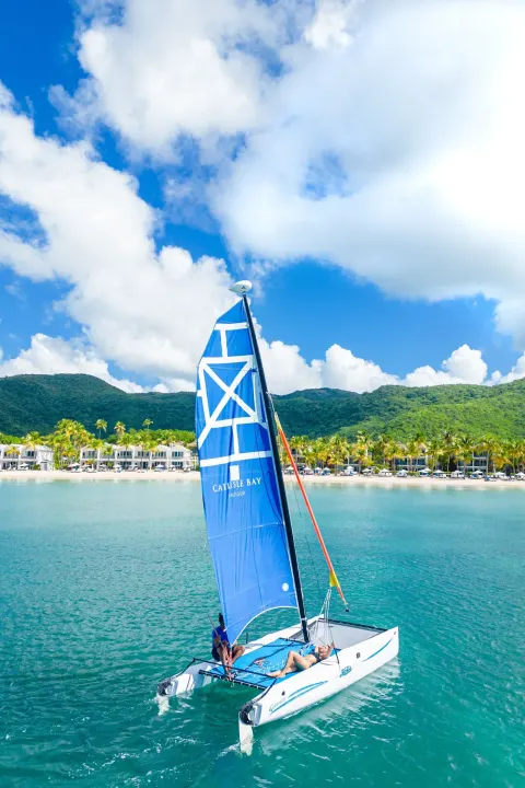 A blue-sailed catamaran glides on turquoise water off Carlisle Bay.