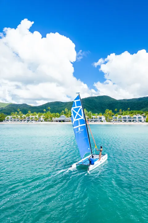 A blue-sailed catamaran sails toward the beach and hills at Carlisle Bay.