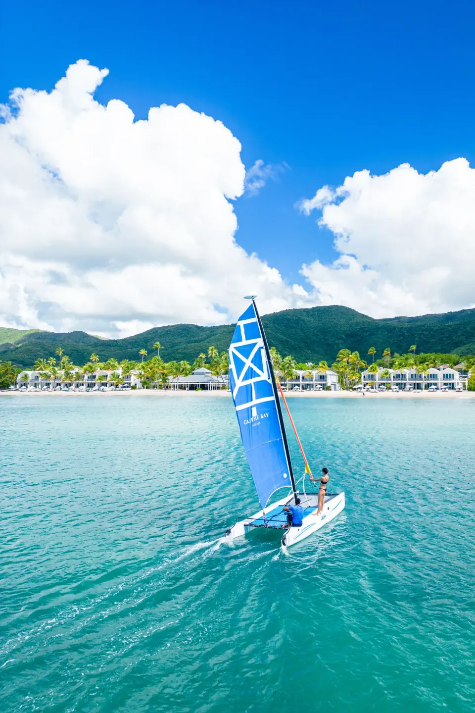 A blue-sailed catamaran sails toward the beach and hills at Carlisle Bay.
