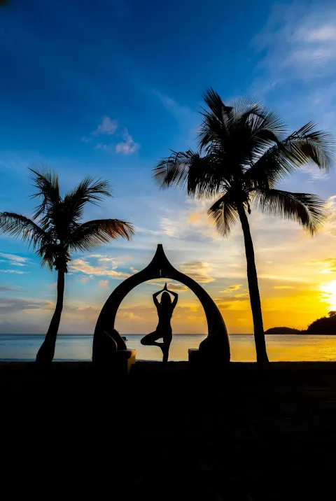 A yoga silhouette stands between palms on the beach at sunset at Carlisle Bay.