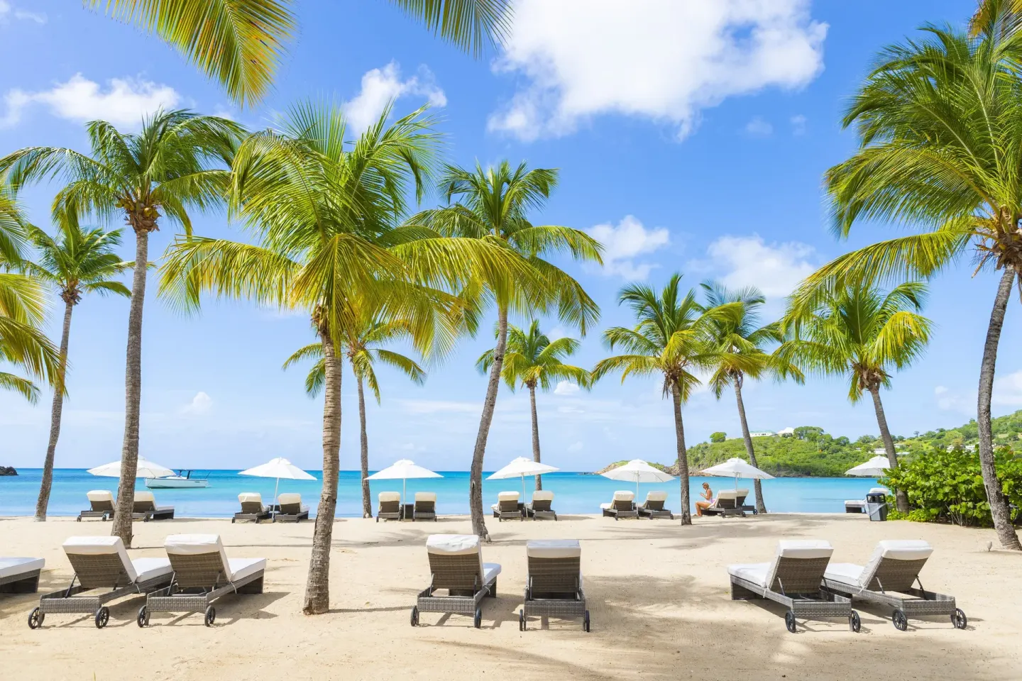 Palm trees, loungers, and white umbrellas line the beach at Carlisle Bay.